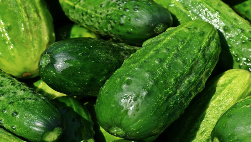 Ogórki