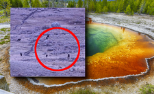 Yellowstone, spotkanie z wilkami