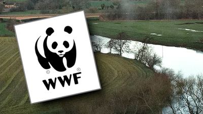 WWF miało chronić swojego sponsora