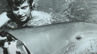 Margaret Lovatt i delfin Peter