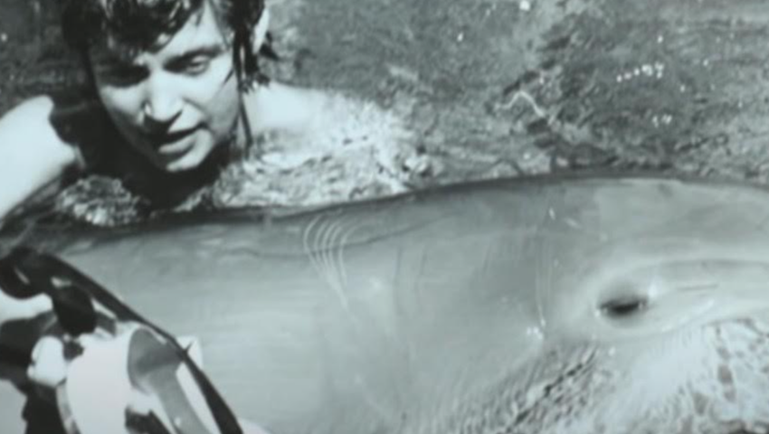 Margaret Lovatt i delfin Peter