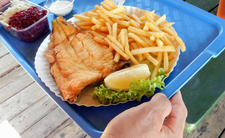 Które ryby nad Bałtykiem są mrożone?