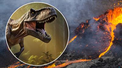 Jak wyginęły dinozaury?