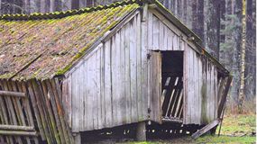 Postawienie szopy lub altany może być problematyczne