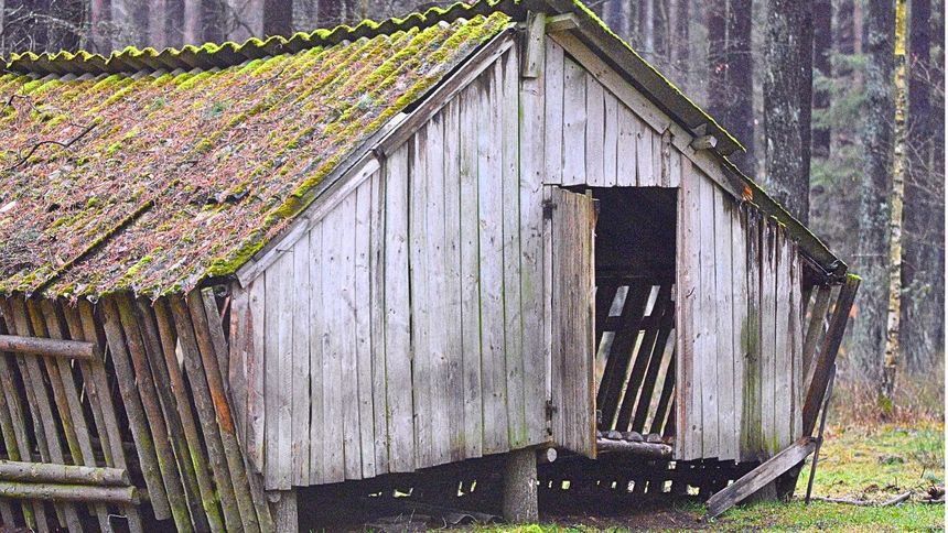 Postawienie szopy lub altany może być problematyczne