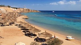 Tak żerują na turystach w Egipcie