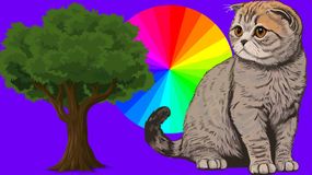 Psychotest. Odpowiedz na te proste pytania. To wiele o Tobie powie