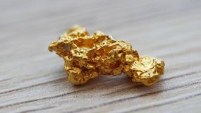 Ten grzyb przyciąga złoto 