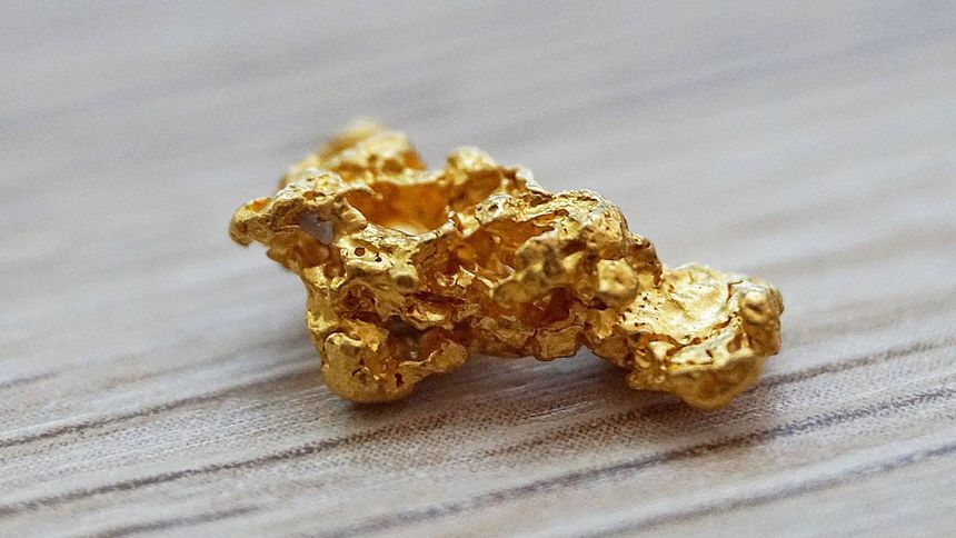 Ten grzyb przyciąga złoto 