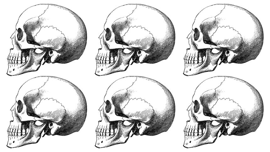 Test na IQ - która czaszka się różni?
