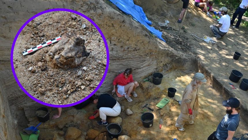 Zaskakujące odkrycie pod Radomiem