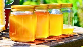 Co oznacza biała pianka na miodzie?