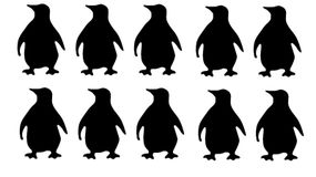 Test na IQ
