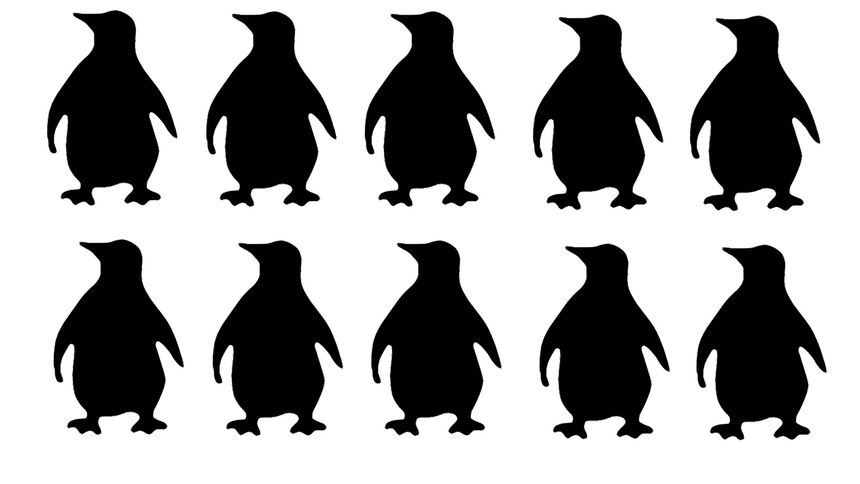 Test na IQ
