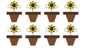 Test na IQ dla prawdziwych mistrzów! Masz na to jedynie 8 sekund