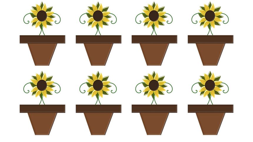 Test na IQ dla prawdziwych mistrzów! Masz na to jedynie 8 sekund