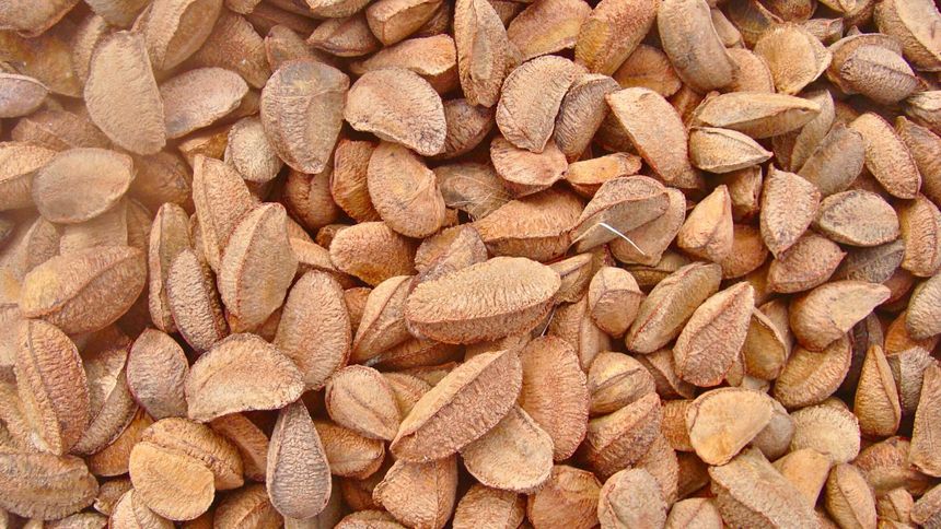 Te orzechy są niesamowicie zdrowe dla serca