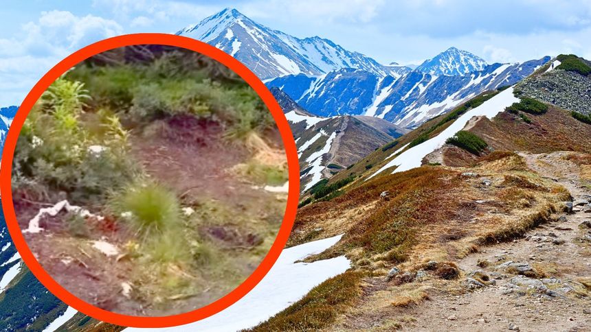 Zachowanie turystów w Tatrach oburzyło internautów