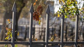 Zbliżają się ważne zmiany w prawie budowlanym. Tego będą musieli wystrzegać się Polacy