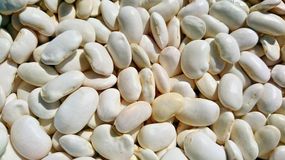 Ten rodzaj fasoli jest bardzo zdrowy