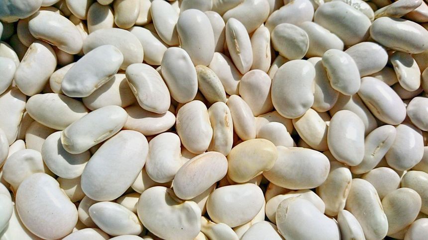 Ten rodzaj fasoli jest bardzo zdrowy