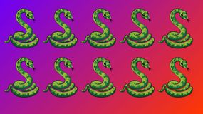 Optyczna zagadka IQ. Masz 5 sekund!