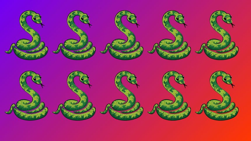 Optyczna zagadka IQ. Masz 5 sekund!