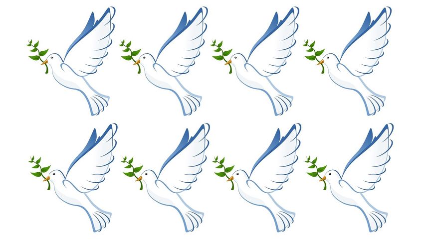 Optyczna zagadka IQ. Znajdź różnicę w 7 sekund! 