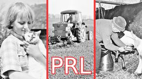 Quiz PRL. Jak wyglądało życie na wsi?