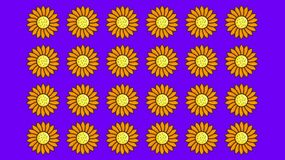 Test na IQ. Odnajdziesz niepasujący kwiat?