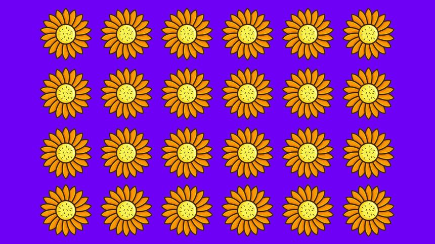 Test na IQ. Odnajdziesz niepasujący kwiat?