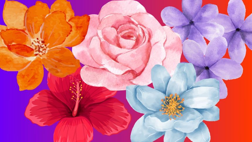 Psychotest. Wybierz kwiat i sprawdź, kim jesteś