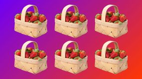 Zagadka optyczna IQ. Która kobiałka nie pasuje?