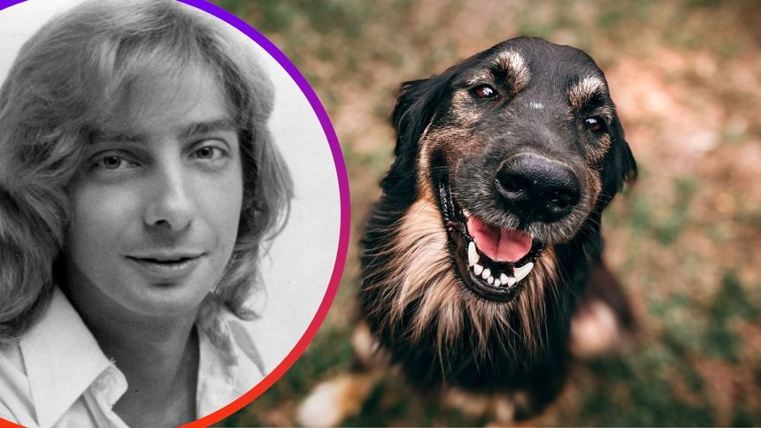 Barry Manilow sięgnął po inny przebój