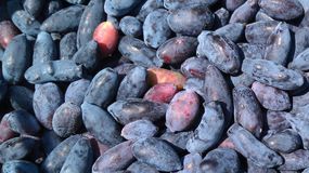 Ten owoc zapewnia zdrowie i młody wygląd