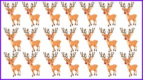 Test na IQ. Który renifer nie pasuje? 10 sekund musi wystarczyć!