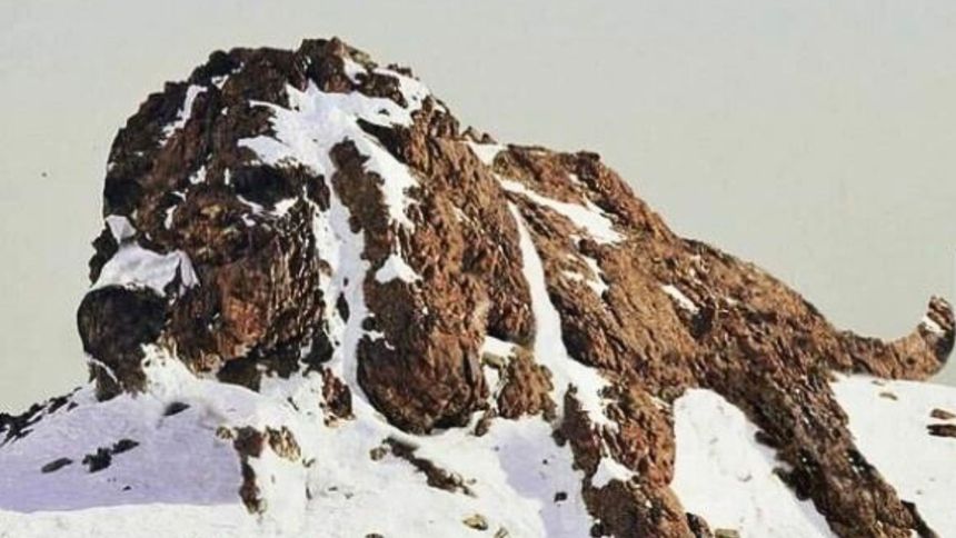 Test na inteligencję emocjonalną 