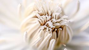 Niewielu Polaków słyszało o takim ogrodzie