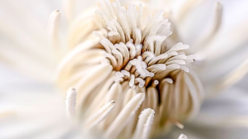 Niewielu Polaków słyszało o takim ogrodzie