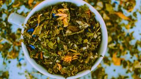 Zielona herbata korzystnie wpływa na organizm