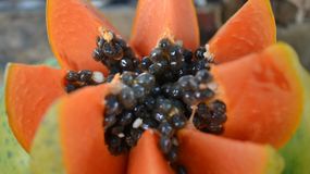 To jeden z najzdrowszych owoców. Polacy rzadko po niego sięgają