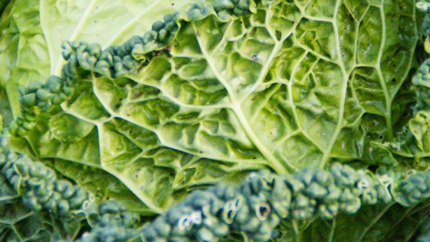 Włącz ją do jadłospisu. Zdziała cuda dla organizmu