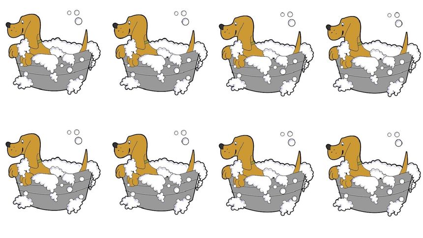 Test na IQ. Sokole oko musi zauważyć w 5 sekund!