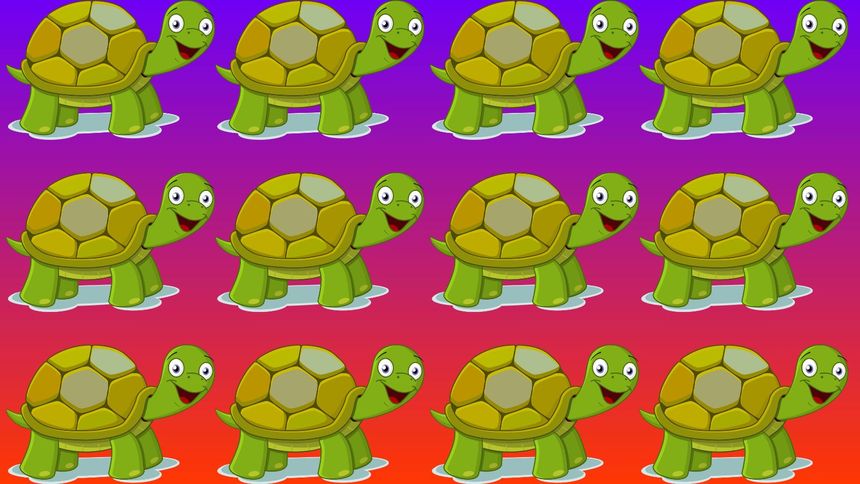 Zagadka optyczna. Znajdź różnicę