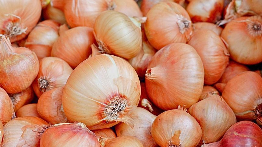 Cebula zdrowa nie dla wszystkich