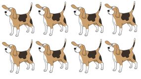 Test na IQ. Który pies jest inny?