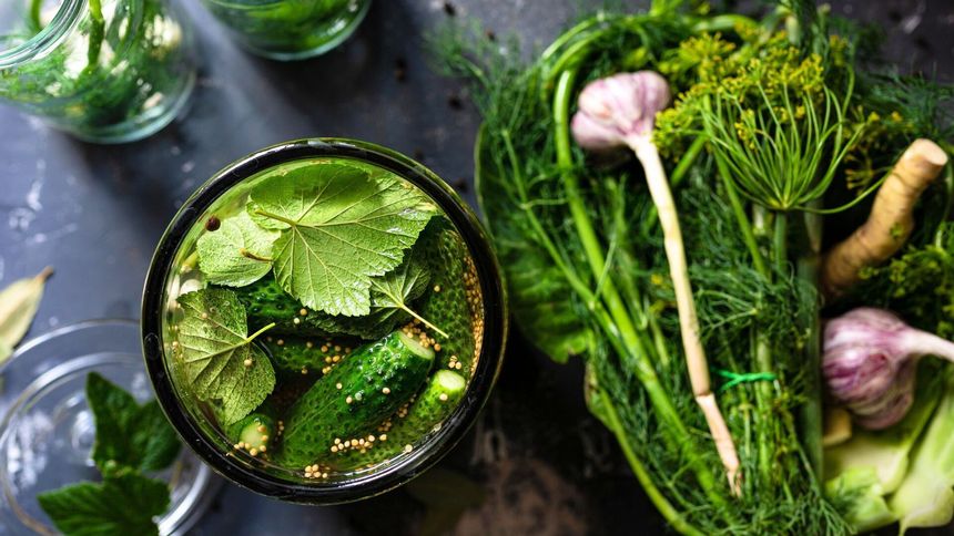 To warzywo jest jak balsam dla organizmu