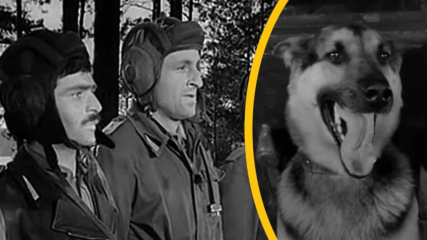 Autor piosenki wyjawił to po latach