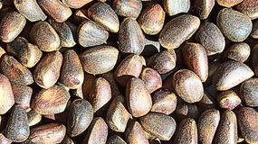 To produkt, który pomaga w schudnięciu