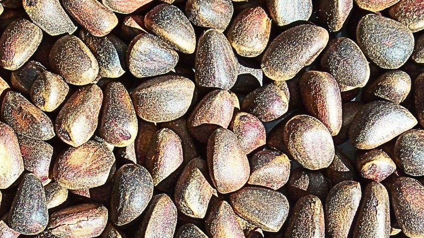 To produkt, który pomaga w schudnięciu